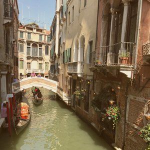 Meet your Posher, Brady